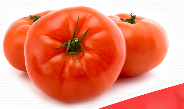 Tomates biologiques de serre Cantons de l'Est